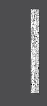 Exterior Door Glass – Mistify Exterior Door Glass – Mistify