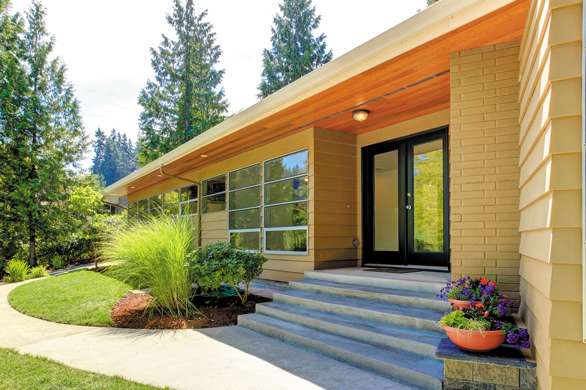 A Modern Summer Dream