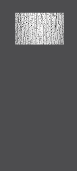 Exterior Door Glass – Mistify Exterior Door Glass – Mistify